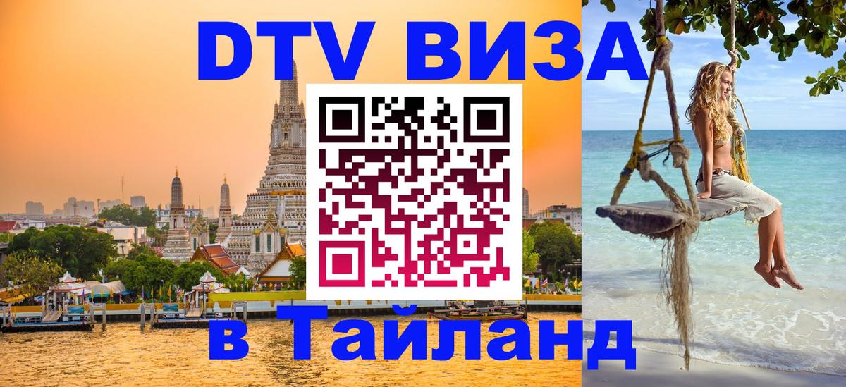 Оформление DTV визы под ключ: стоимость и тарифы, только загранпаспорт - 